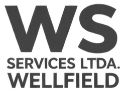 WS Services